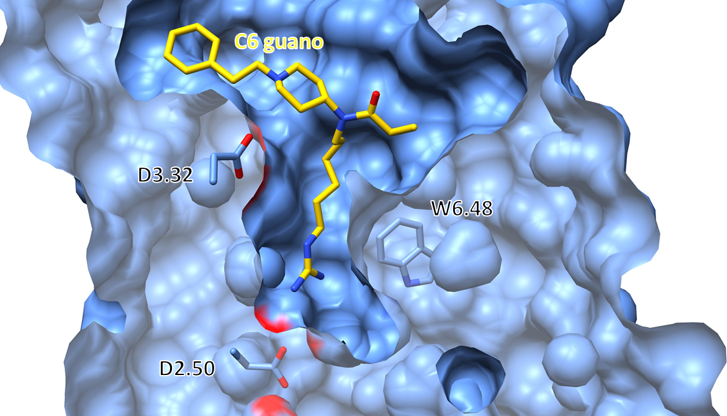 chemical structure nature 2023