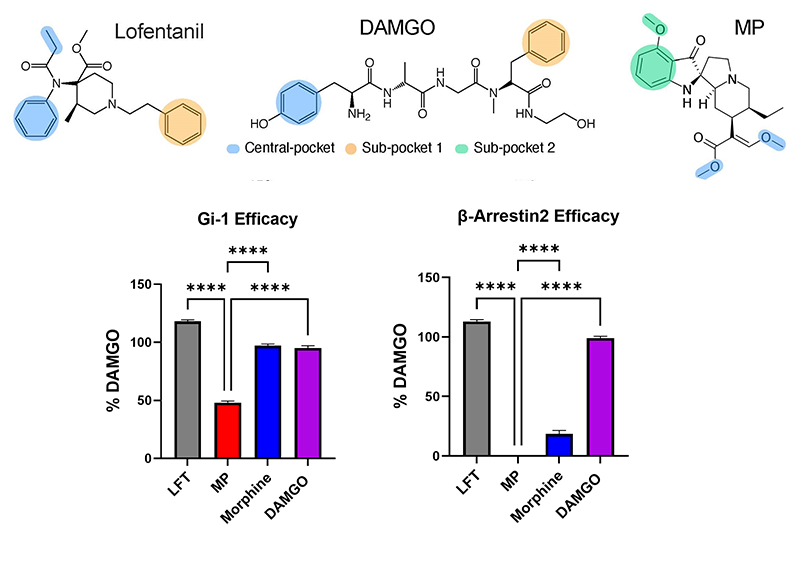 chemical synthesis and efficeny from nature chem bio